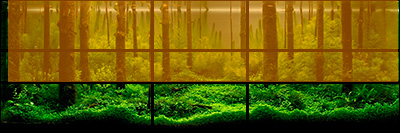 Golden section top Golden section top