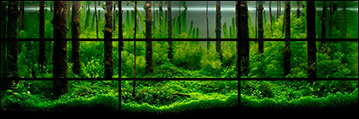 Rule of thirds Rule of thirds