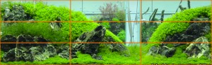 Picture by Aqua Design Amano