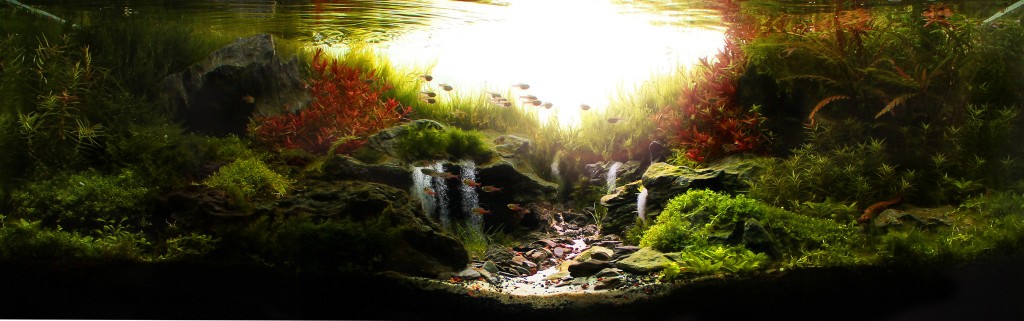 Картинка с форума